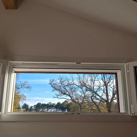 Havre De Paix Ocean Et Foret Апартаменты Мимизан-Плаж