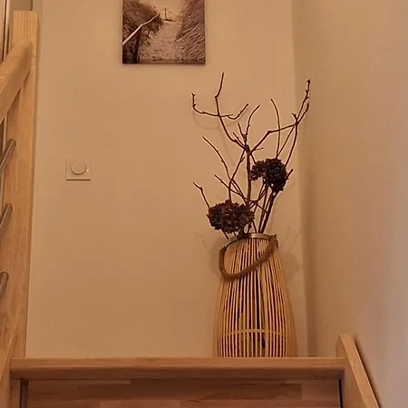 Havre De Paix Ocean Et Foret Апартаменты *