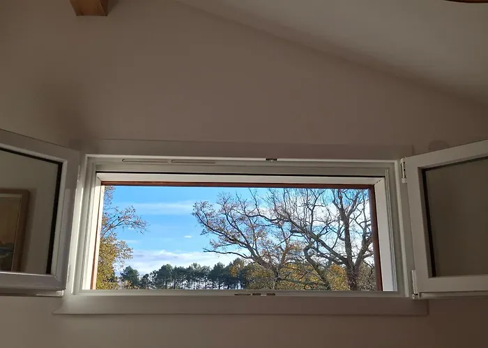 Havre De Paix Ocean Et Foret Апартаменты Мимизан-Плаж